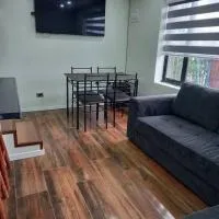 Cabañas y Departamentos Las Palmas, Temuco Depto 1، فندق في تيموكو