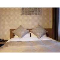 Sun Royal Utsunomiya - Vacation STAY 02516v