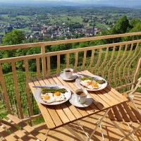 Zidanica Jakše - Vineyard Cottage, hotel i Semič