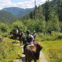 River Run Ranch - Telemark, hotel em Drangedal