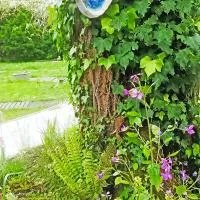 Mirguet au Jardin, hotell i Saint-Élix-le-Château