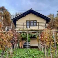Vineyard cottage Kulovec, hotel a Uršna Sela