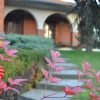 La Filanda B&B, hotell i Casorezzo