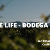 Cabañas Wine Life - Bodega 1920, hotel en Rama Caída, San Rafael