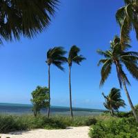 Tranquility by the Beach