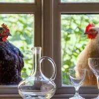 Lindenhof ChezArtistes, hotel u gradu Loose