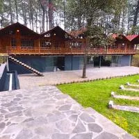 PINE TREE Mazamitla Hotel Boutique & Cabañas, hotel v destinácii Mazamitla