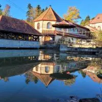 Ворота Карпат, hotelli kohteessa Dilyatyn