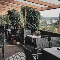 Restaurant & Hotel Zur Falkenhöhe, hotel in Falkenau