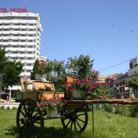 Hotel Decebal, hotel din Bacău