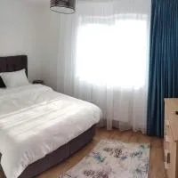 Cavnic में, होटल Cavnic Hills Apartments