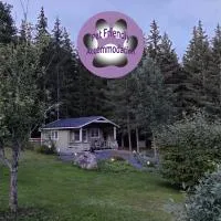 Satukurki-vierasmaja - Simple and Cute Cabin, hotel i Sastamala