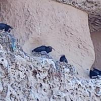 Résidence Fanti, hotel en Sidi Binzarne