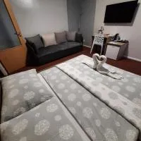 Hotel Boršičanka, hotel din Havířov