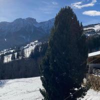 Sci Trekking Bike al Plan de Corones Kronplatz Dolomiti