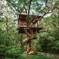Treeful Treehouse Sustainable Resort Okinawa, Hotel in Nago