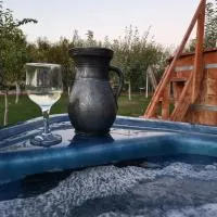 Elis Tranzit House Merei، فندق في Ogrăzile