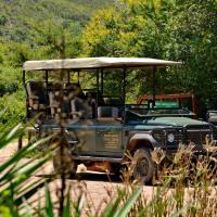 Garden Route Safari Camp, hotel in Mossel Bay