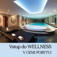 Wellness Hotel Vinnay، فندق في فينيه