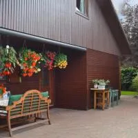 Rehden में, होटल Kranich-Holzferienhaus 'Kleine Auszeit'