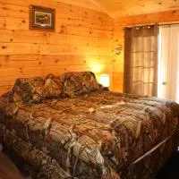 The Old Tioga Inn Bed and Breakfast, отель в городе Fairmount Springs