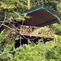 Rafiki Safari Lodge, отель в городе Савегре