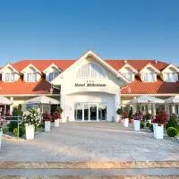 Hotel Millenium, hotel i Żyraków