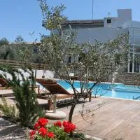 Alkistis Hotel, hotel u gradu Diakopto