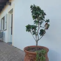 La Porota, hotel i Ramallo