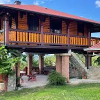 Domacinstvo Ilici ,Gunjaci, hotel a Valjevo