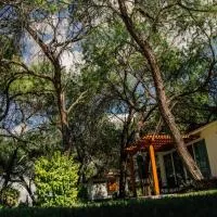 Hotel Los Lirios, ξενοδοχείο σε Jabalí