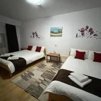 Pensiunea Aurora Vartop, hotel em Vartop