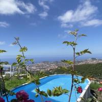Studio Geek Villa - Open Space - all year round Pool, Dining Pergola, Barbecue - Funchal Holiday Home by Salviati Stays