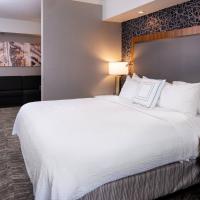 Viešbutis SpringHill Suites by Marriott Pittsburgh North Shore (North Shore, Pitsburgas)