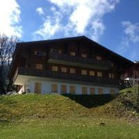 3 12 Zimmer Wohnung, hotell i Axalp