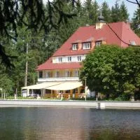 Hotel Waldsee – hotel w mieście Lindenberg im Allgäu