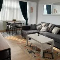 Apartament Cina,Huşi的飯店