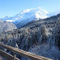 Le Cristal du Mont-Blanc