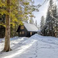 Cosy Lodge Pokljuka, hotel v destinaci Goreljek
