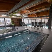 Hotel Yara, hotel sa Vişeu de Sus
