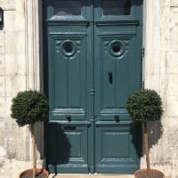 a green door with two potted plants in front of it at Repos à Ribérac B&B