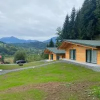 Cabanele Olena, hotel u gradu 'Borsa'