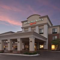 SpringHill Suites by Marriott Lansing West, hotel in Delta Center Township