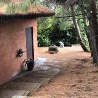 Cabaña Campestre La Rayuela-Fuquene, hotel em Fúquene