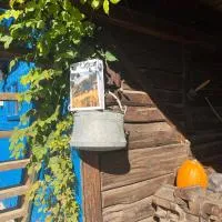 Schiuleşti에 위치한 호텔 Casa de vacanta traditionala La Fanar