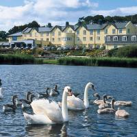 a group of swans and ducks in the water at Arklow Bay Hotel and Leisure Club