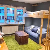 smart Studio Apartment 3 mins from Vigeland park