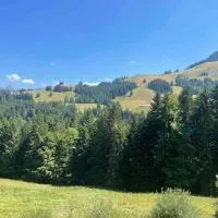 Gruyères में, होटल Superbe appartement 3.5 avec cheminée