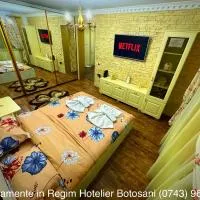Apartament De Lux zona 0 Botosani 2 camere, hotel di Botoşani