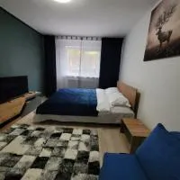 Casa Rusu -Moroasa-Self check in-24h Netflix, hotel v destinácii Reşiţa